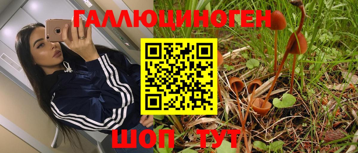 Самара  Псилоцибиновые грибы Magic Shrooms  Вход с VPN 